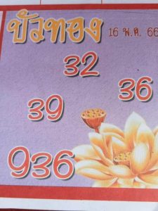 เด็ดดังหวยบัวทอง 1-7-66