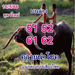 เลขปังหวยควายนำโชค 1-7-66