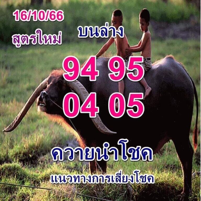 หวยไทย ควายนำโชค 1/11/66