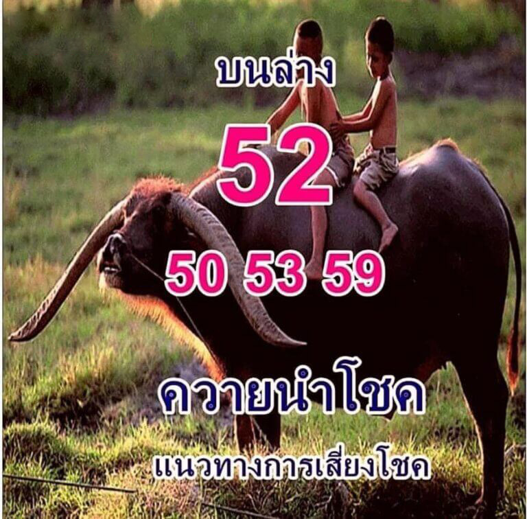 หวยไทย ควายนำโชค 17/1/67