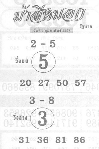 หวยไทย ม้าสีหมอก 1/2/67